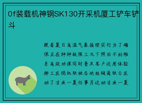 0f装载机神钢SK130开采机厦工铲车铲斗